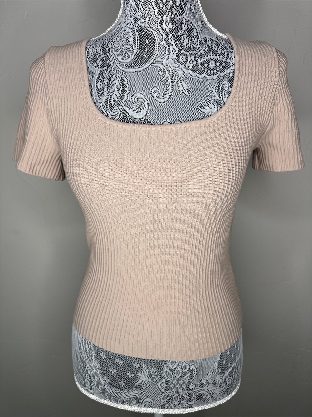 Bohme Square Neck Short Sleeve Ribbed Top - Blush